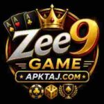Zee9 Game Logo Screenshot